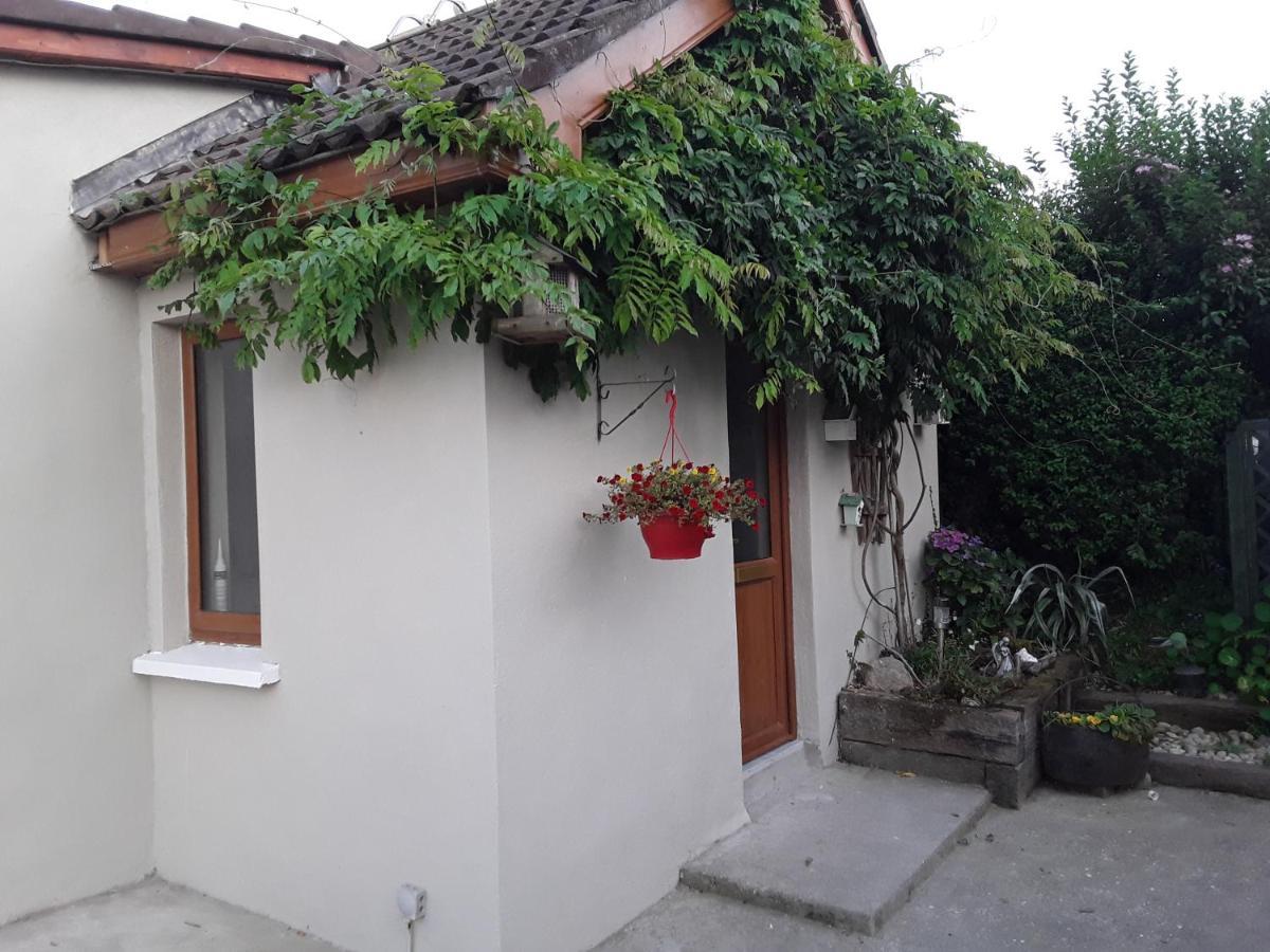 Meadowbrook Studio Rathdrum Bagian luar foto